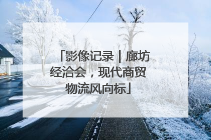 影像记录｜廊坊经洽会，现代商贸物流风向标