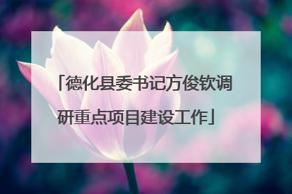 德化县委书记方俊钦调研重点项目建设工作