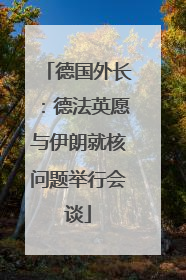 德国外长：德法英愿与伊朗就核问题举行会谈