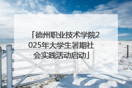 德州职业技术学院2025年大学生暑期社会实践活动启动
