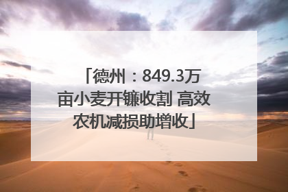 德州：849.3万亩小麦开镰收割 高效农机减损助增收