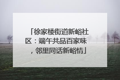 徐家楼街道新峪社区：端午共品百家味，邻里同话新峪情