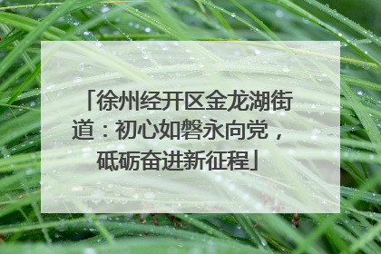 徐州经开区金龙湖街道：初心如磐永向党，砥砺奋进新征程