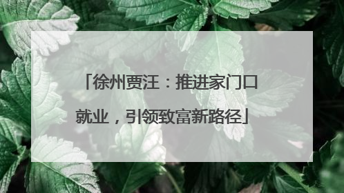 徐州贾汪：推进家门口就业，引领致富新路径