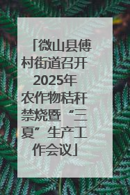 微山县傅村街道召开2025年农作物秸秆禁烧暨“三夏”生产工作会议