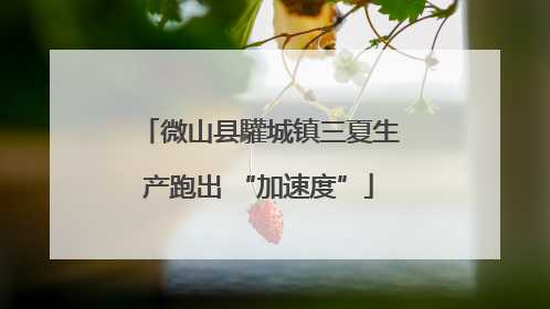 微山县驩城镇三夏生产跑出 “加速度”