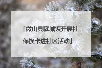 微山县驩城镇开展社保换卡进社区活动