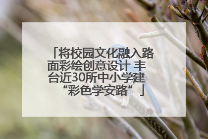 将校园文化融入路面彩绘创意设计 丰台近30所中小学建“彩色学安路”