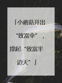 小蘑菇开出“致富伞”，撑起“致富半边天”