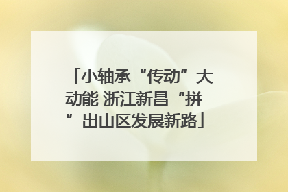 小轴承“传动”大动能 浙江新昌“拼”出山区发展新路