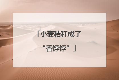 小麦秸秆成了“香饽饽”