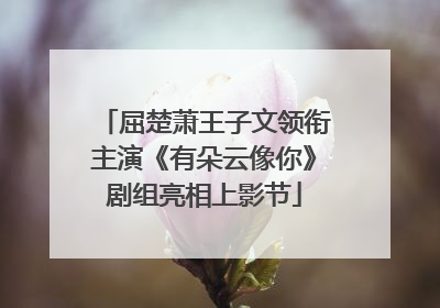 屈楚萧王子文领衔主演《有朵云像你》剧组亮相上影节