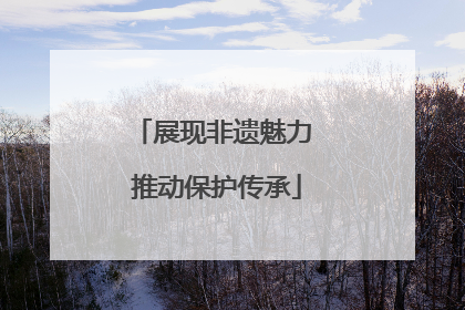 展现非遗魅力 推动保护传承