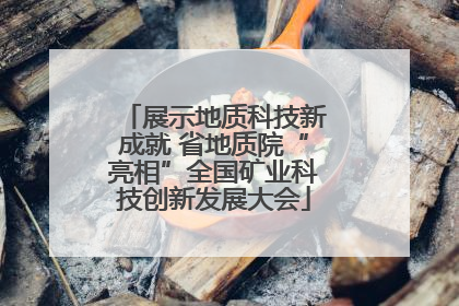 展示地质科技新成就 省地质院“亮相”全国矿业科技创新发展大会