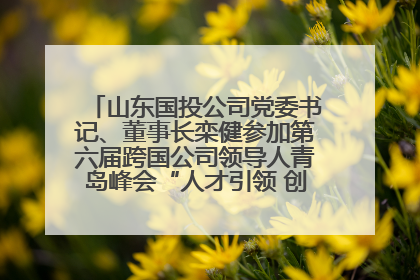 山东国投公司党委书记、董事长栾健参加第六届跨国公司领导人青岛峰会“人才引领 创新驱动”人力资源高质量发展对话会