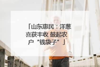 山东惠民：洋葱喜获丰收 鼓起农户“钱袋子”