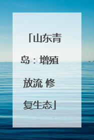 山东青岛：增殖放流 修复生态