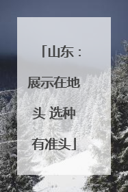 山东：展示在地头 选种有准头