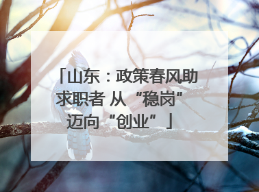 山东：政策春风助求职者 从“稳岗”迈向“创业”