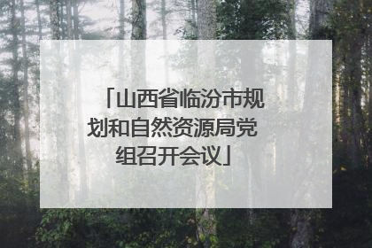 山西省临汾市规划和自然资源局党组召开会议