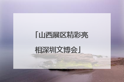 山西展区精彩亮相深圳文博会