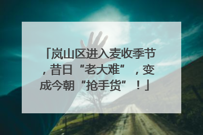 岚山区进入麦收季节，昔日“老大难”，变成今朝“抢手货”！