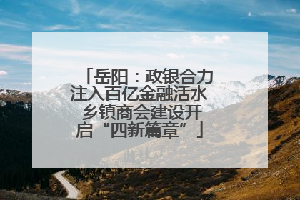 岳阳：政银合力注入百亿金融活水 乡镇商会建设开启“四新篇章”