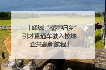 峄城“榴枣归乡”引才直通车驶入校地企共赢新航程