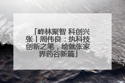 峰林聚智 科创兴张丨周伟良：执科技创新之笔，绘就张家界药谷新篇