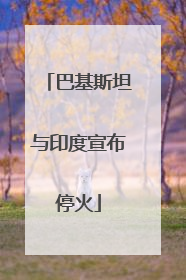 巴基斯坦与印度宣布停火