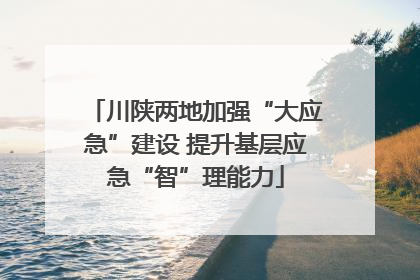 川陕两地加强“大应急”建设 提升基层应急“智”理能力