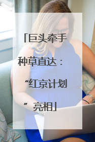 巨头牵手种草直达：“红京计划”亮相