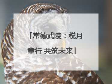 常德武陵：税月童行 共筑未来