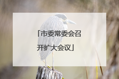 市委常委会召开扩大会议