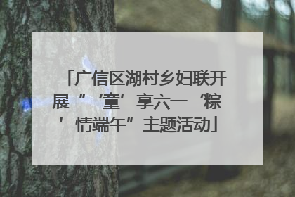 广信区湖村乡妇联开展“‘童’享六一‘粽’情端午”主题活动
