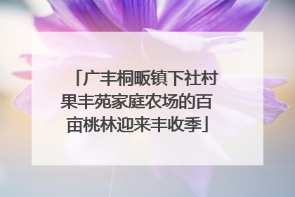 广丰桐畈镇下社村果丰苑家庭农场的百亩桃林迎来丰收季