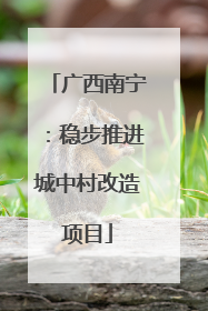 广西南宁：稳步推进城中村改造项目