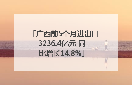 广西前5个月进出口3236.4亿元 同比增长14.8%