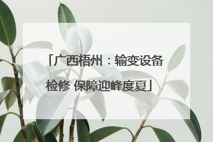 广西梧州：输变设备检修 保障迎峰度夏