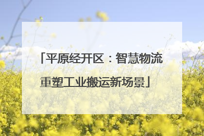 平原经开区：智慧物流重塑工业搬运新场景