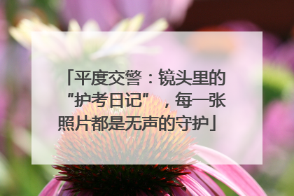 平度交警：镜头里的“护考日记”，每一张照片都是无声的守护