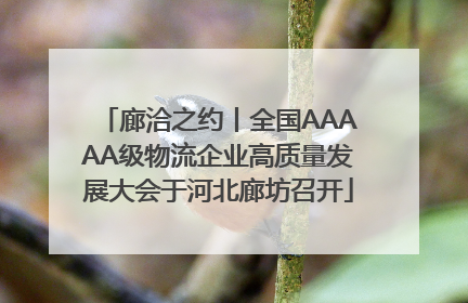 廊洽之约丨全国AAAAA级物流企业高质量发展大会于河北廊坊召开