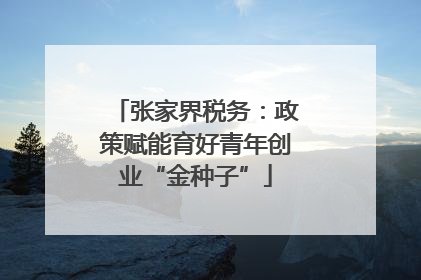 张家界税务：政策赋能育好青年创业“金种子”