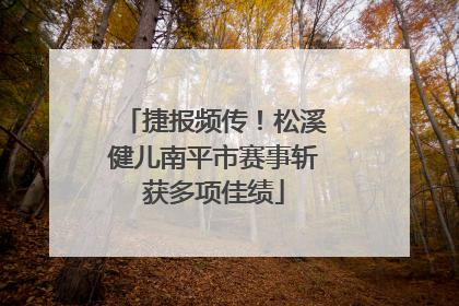 捷报频传！松溪健儿南平市赛事斩获多项佳绩