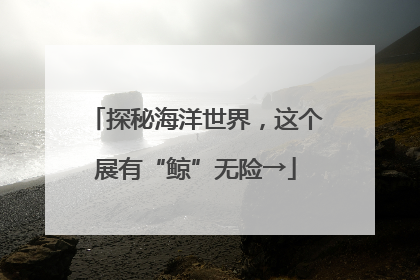 探秘海洋世界，这个展有“鲸”无险→