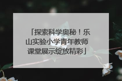 探索科学奥秘！乐山实验小学青年教师课堂展示绽放精彩