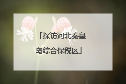 探访河北秦皇岛综合保税区