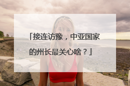 接连访豫，中亚国家的州长最关心啥？