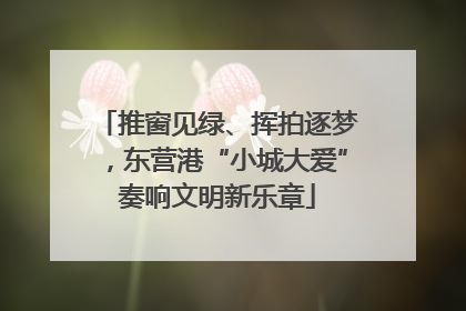 推窗见绿、挥拍逐梦，东营港“小城大爱”奏响文明新乐章