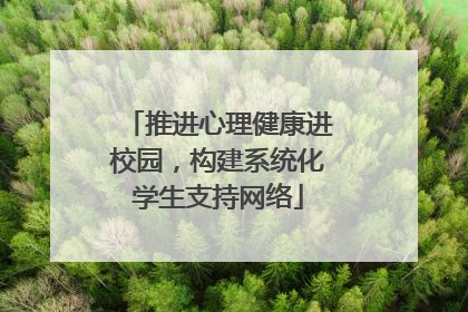 推进心理健康进校园，构建系统化学生支持网络